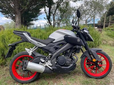 Yamaha MT-125 ABS (2017 - 19) usata