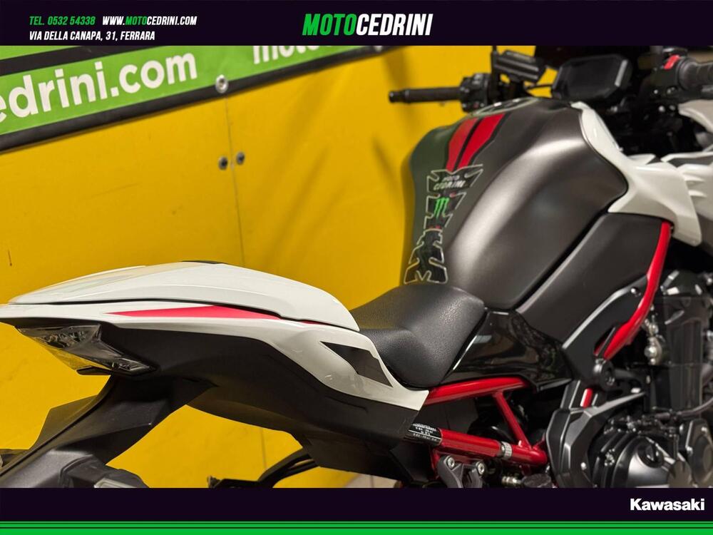 Kawasaki Z 900 (2021 - 24) (5)