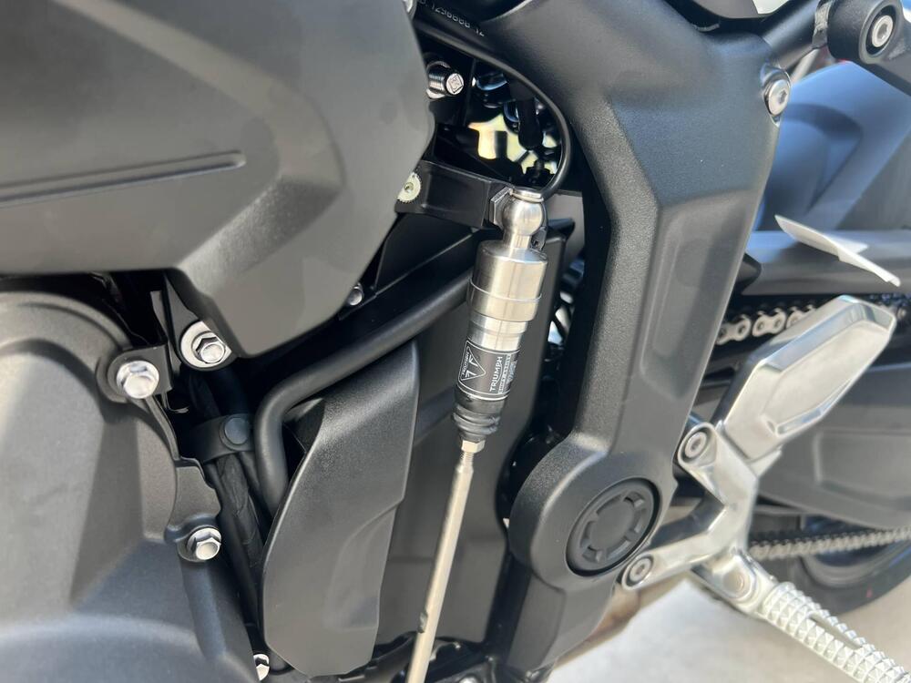 Triumph Trident 660 (2025) (4)