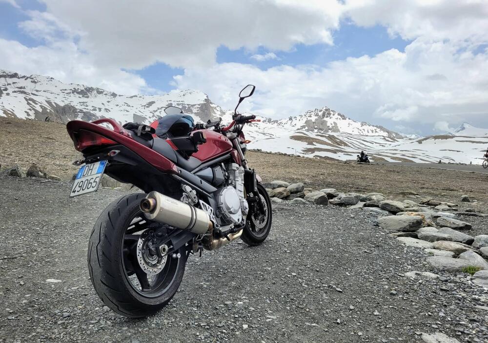 Suzuki GSF 1250 Bandit (2006 - 11) (3)