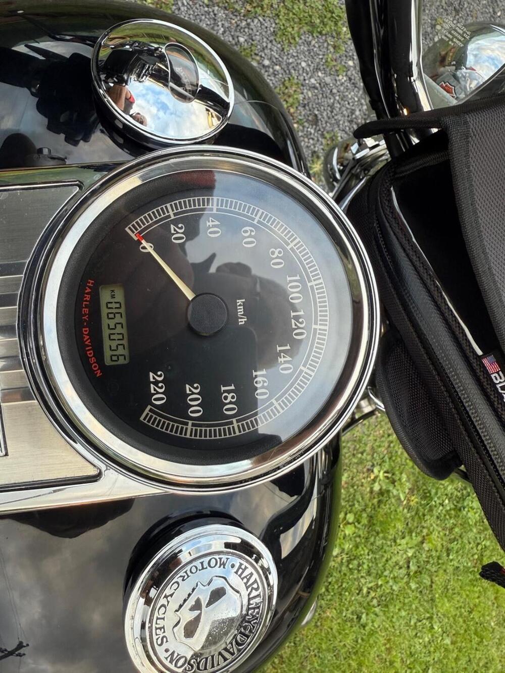 Harley-Davidson 1130 V-Rod (2007) - VRSCAW (6)