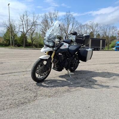 Triumph Tiger 800 ABS (2010 - 14) usata