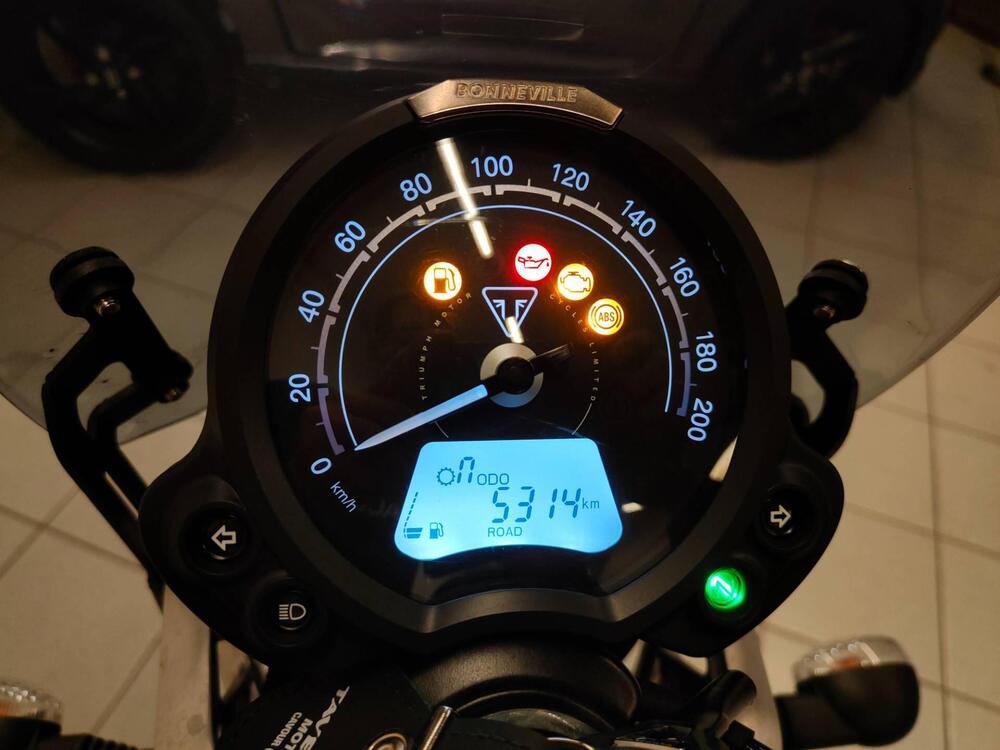 Triumph Speed Twin 900 (2023 - 24) (6)