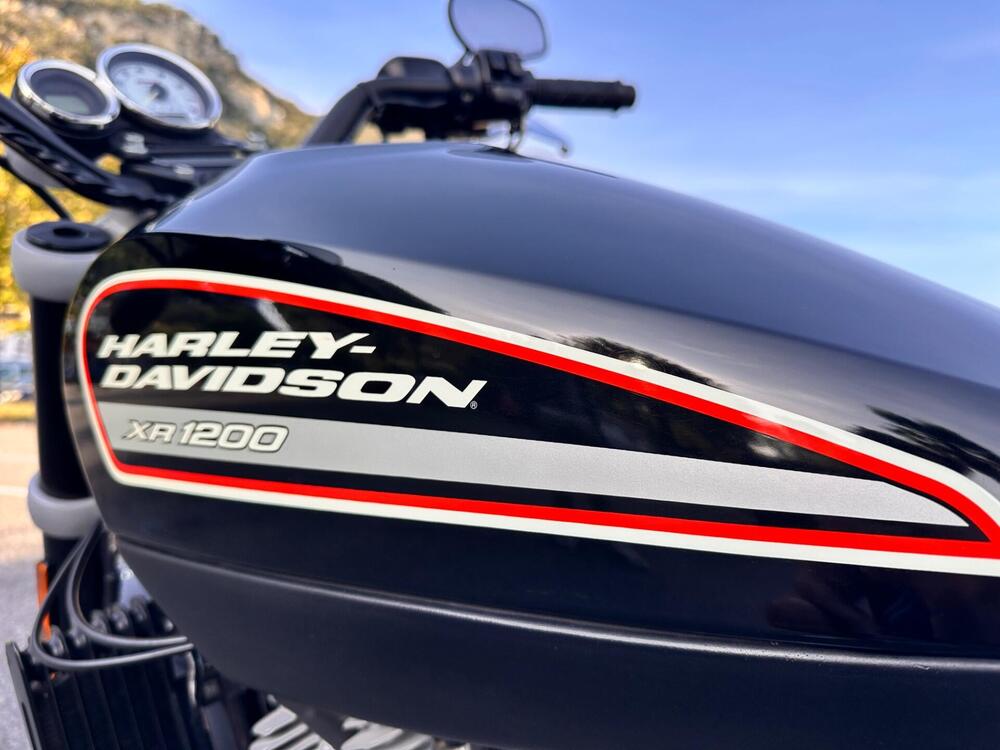 Harley-Davidson 1200 XR (2009 - 12) (3)