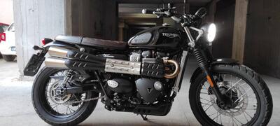 Triumph Street Scrambler 900 (2019 - 20) usata