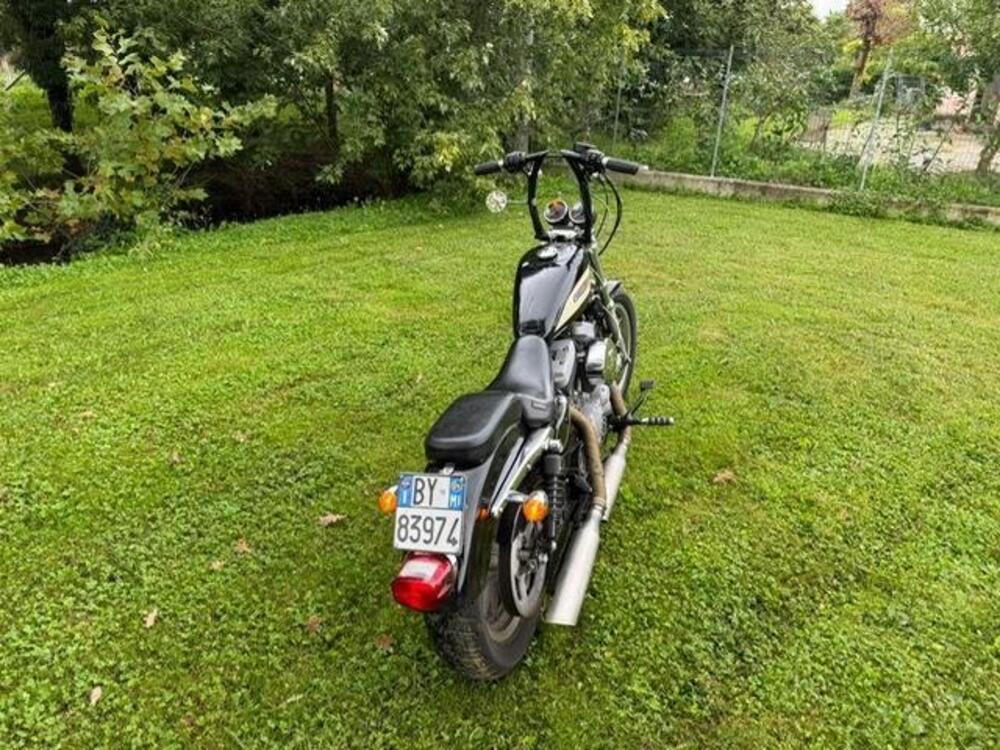 Harley-Davidson 1200 Roadster (2002 - 05) - XL 1200R (3)