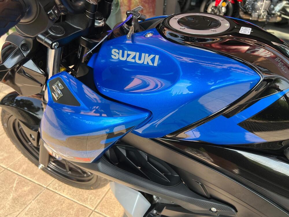 Suzuki GSX-S125 (2022 - 24) (8)