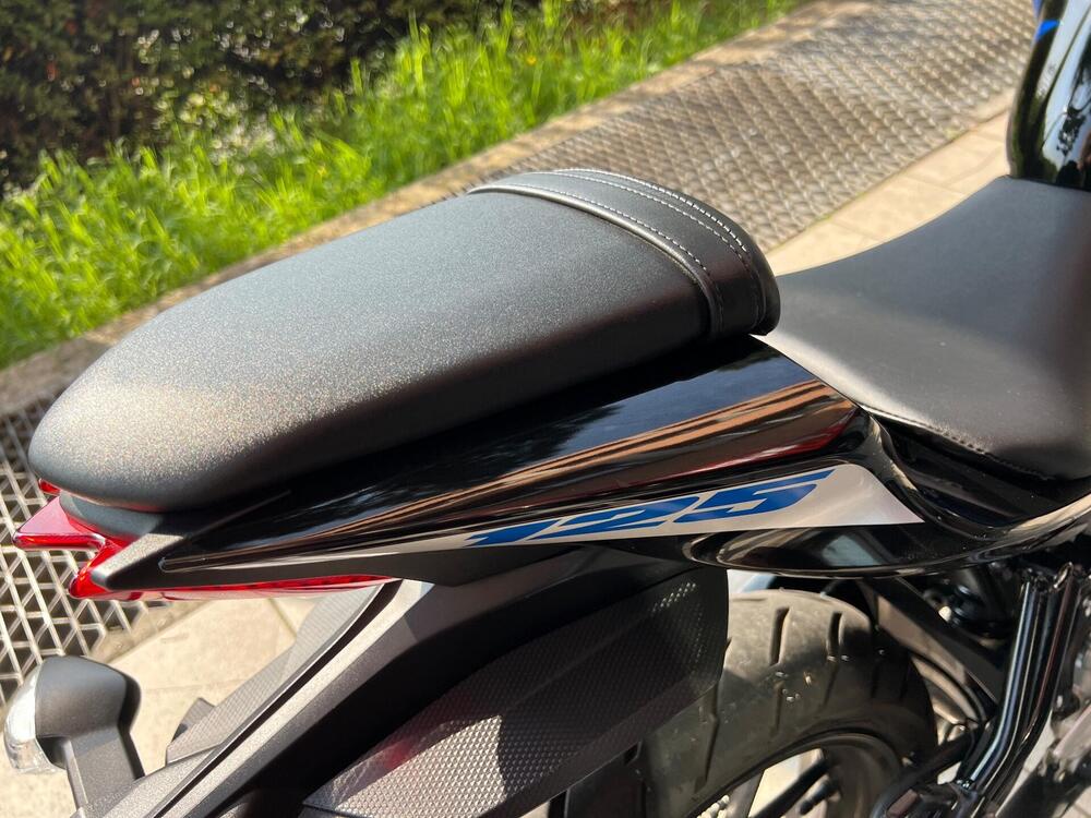 Suzuki GSX-S125 (2022 - 24) (10)