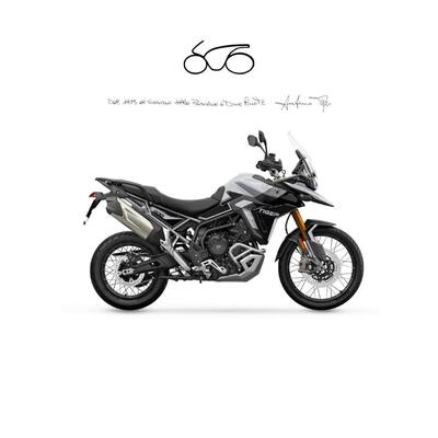 Triumph Tiger 900 Rally Pro (2024 - 25) nuova