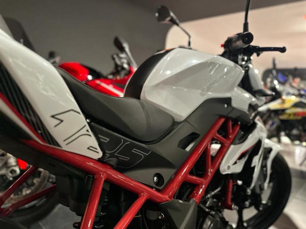 Benelli BN 125 (2021 - 25) (6)