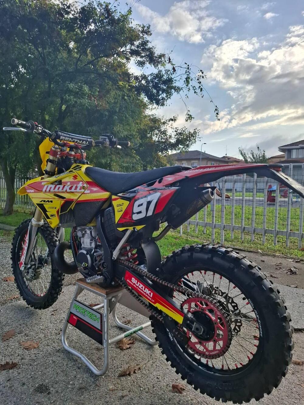 Suzuki RM 250 (2005 - 06) (3)