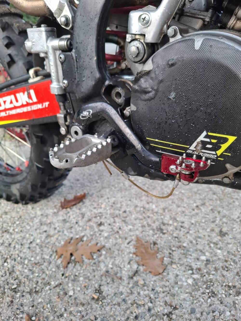 Suzuki RM 250 (2005 - 06) (13)