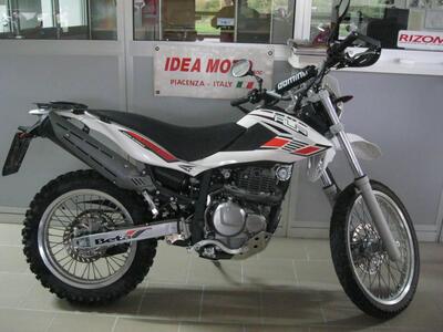 Betamotor Alp 4.0 (2008 - 17) usata