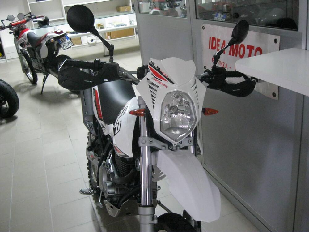 Betamotor Alp 4.0 (2008 - 17) (7)