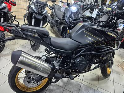 QJ Motor SRT 900 SX (2025) nuova