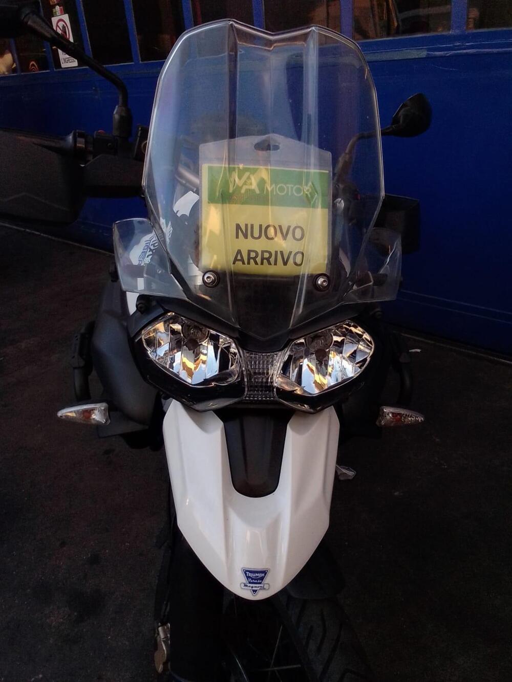 Triumph Tiger 800 (2010 - 14) (3)