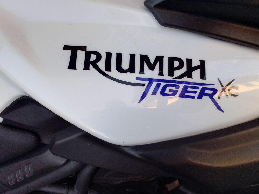 Triumph Tiger 800 (2010 - 14) (13)
