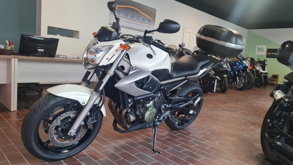 Yamaha XJ6 (2008 - 15) (11)