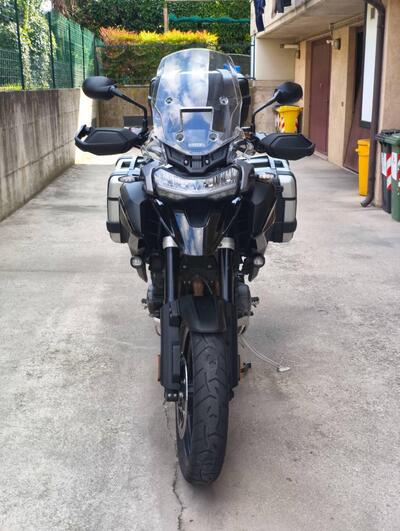 Triumph Tiger 1200 GT Pro (2024 - 25) usata