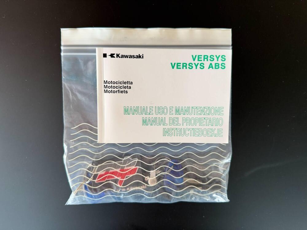 Kawasaki Versys 650 (2010 - 13) (19)