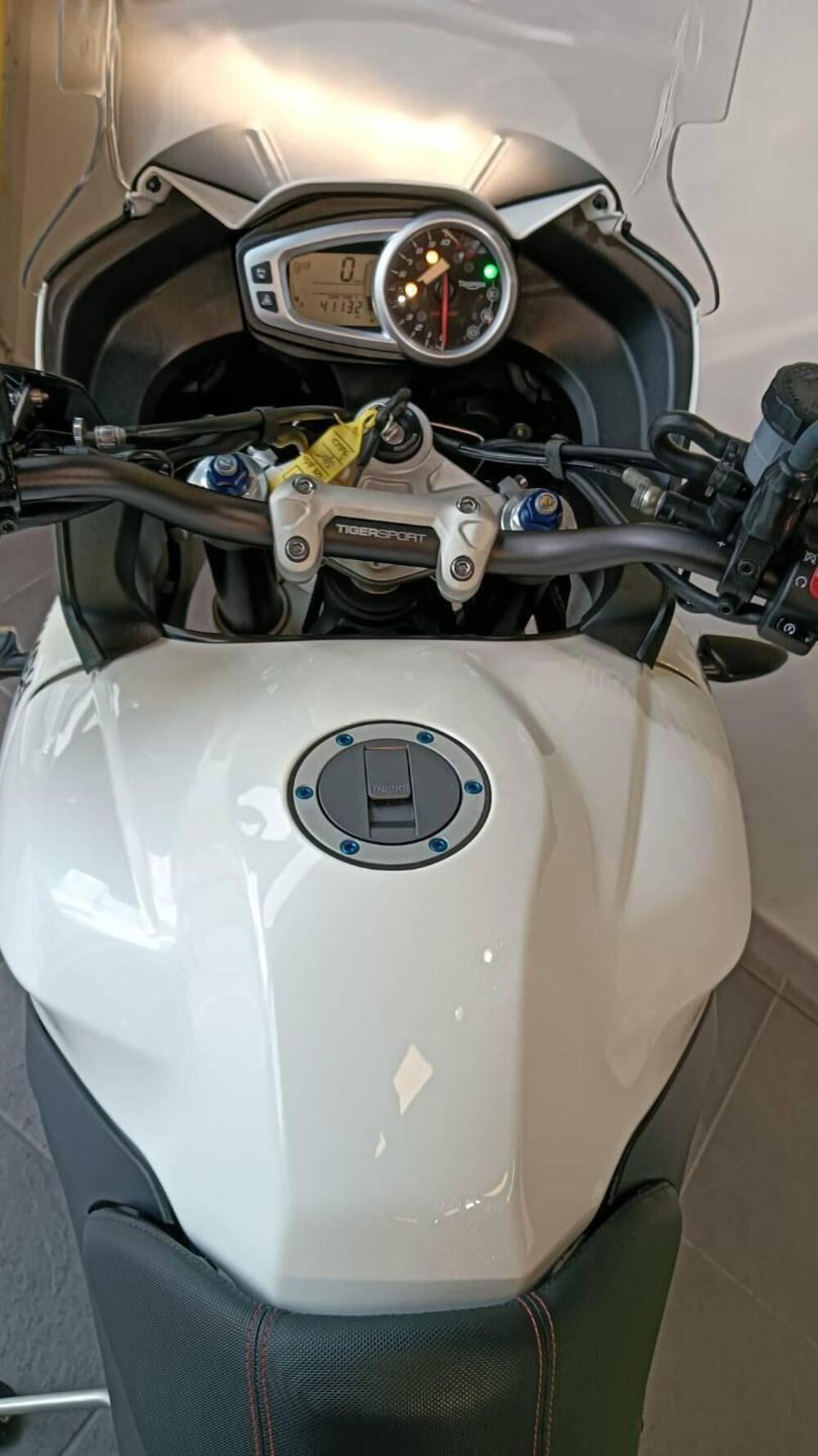 Triumph Tiger 1050 Sport ABS (2013 - 15) (8)