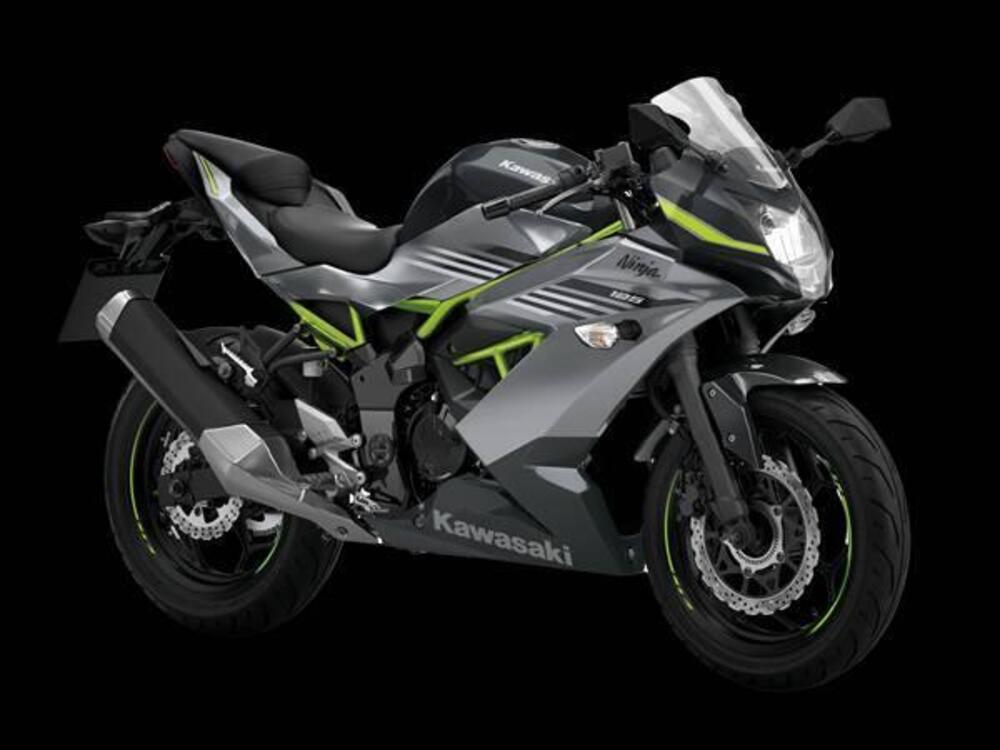 Kawasaki Ninja 125 (2021 - 24) (2)