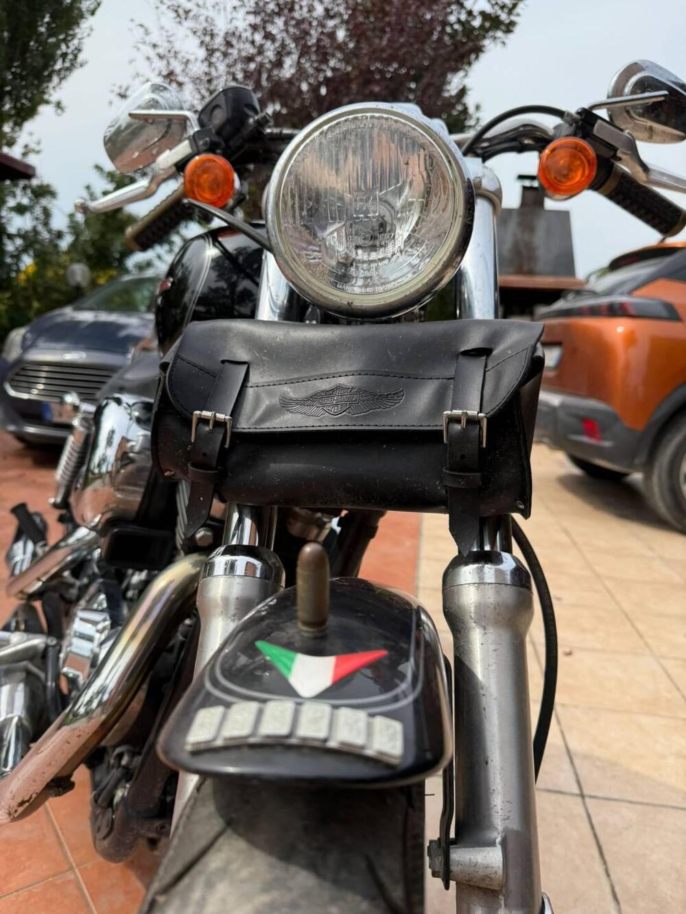 Harley-Davidson 1200 Custom (2004 - 06) - XL 1200C (4)