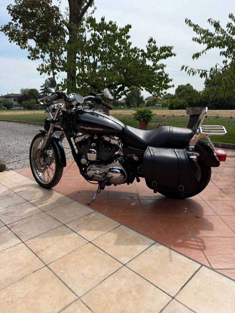 Harley-Davidson 1200 Custom (2004 - 06) - XL 1200C (6)