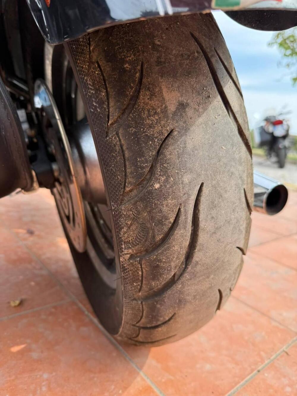 Harley-Davidson 1200 Custom (2004 - 06) - XL 1200C (11)