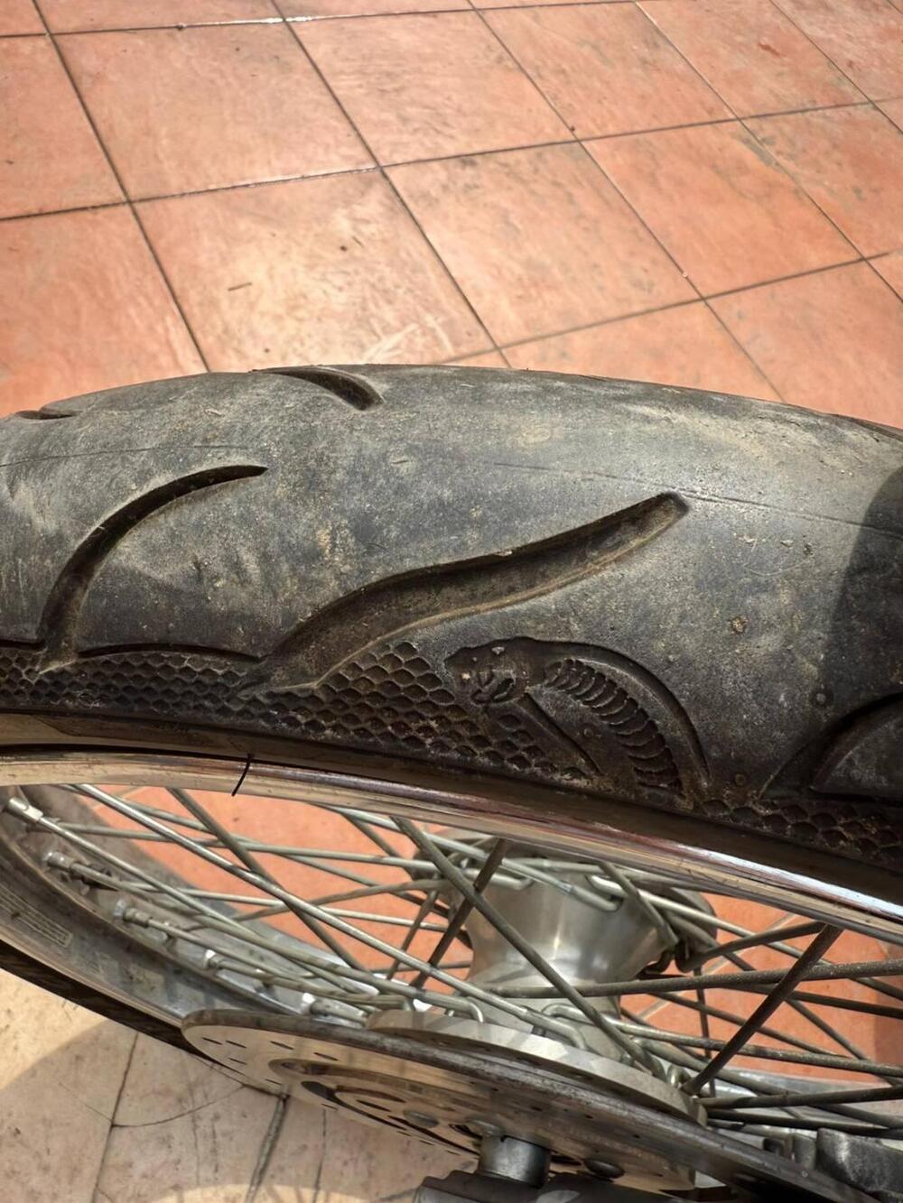 Harley-Davidson 1200 Custom (2004 - 06) - XL 1200C (12)