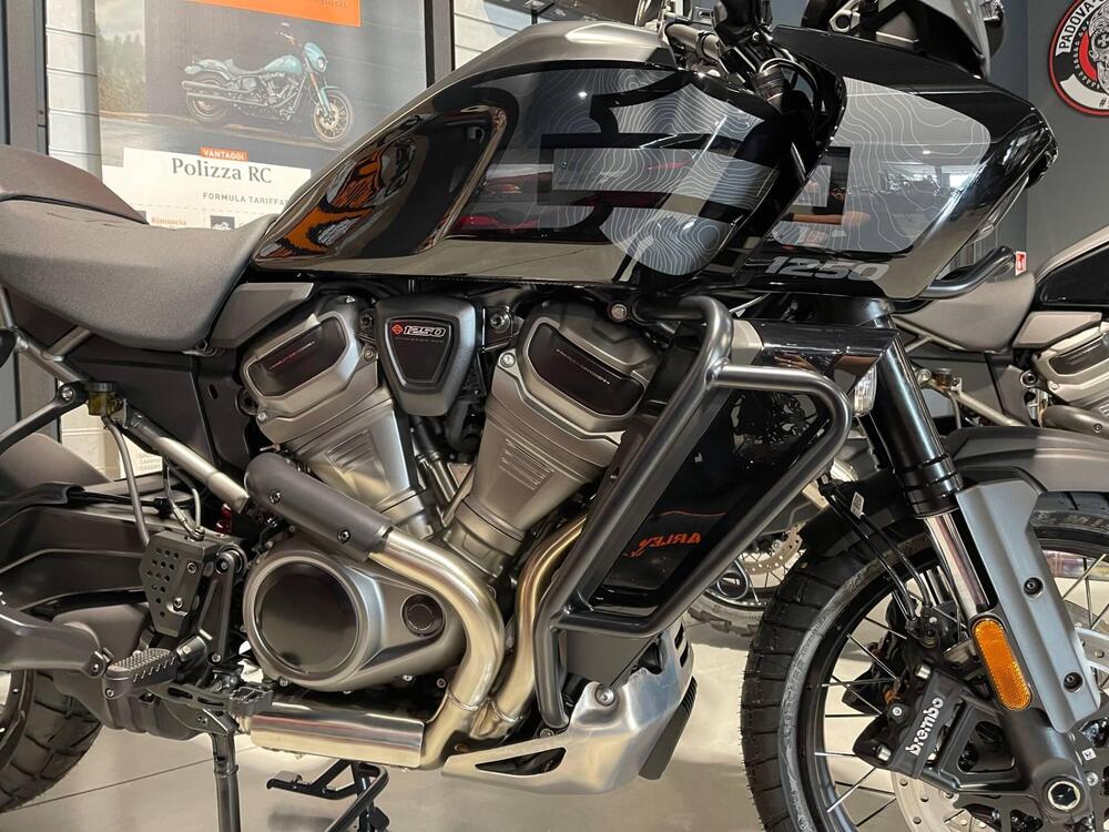 Harley-Davidson Pan America 1250 Special (2020 - 25) (7)