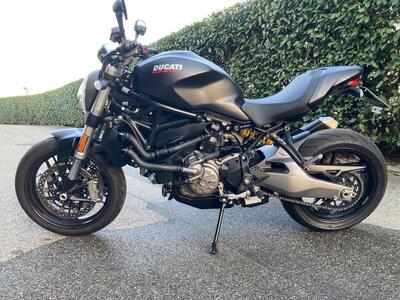 Ducati Monster 821 (2018 - 20) usata