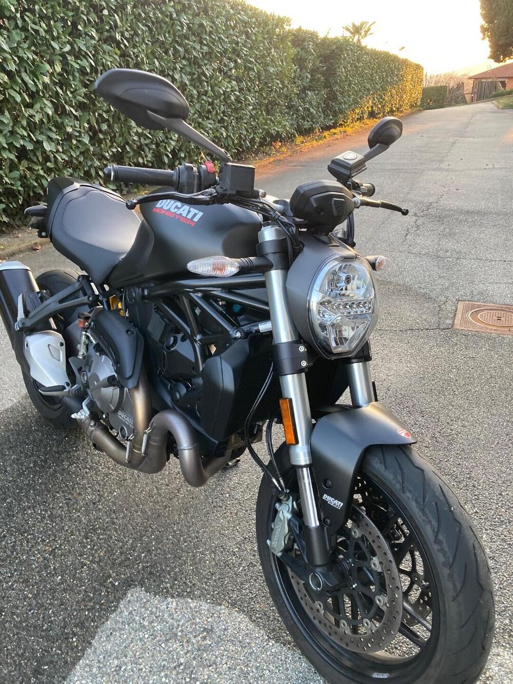 Ducati Monster 821 (2018 - 20) (3)