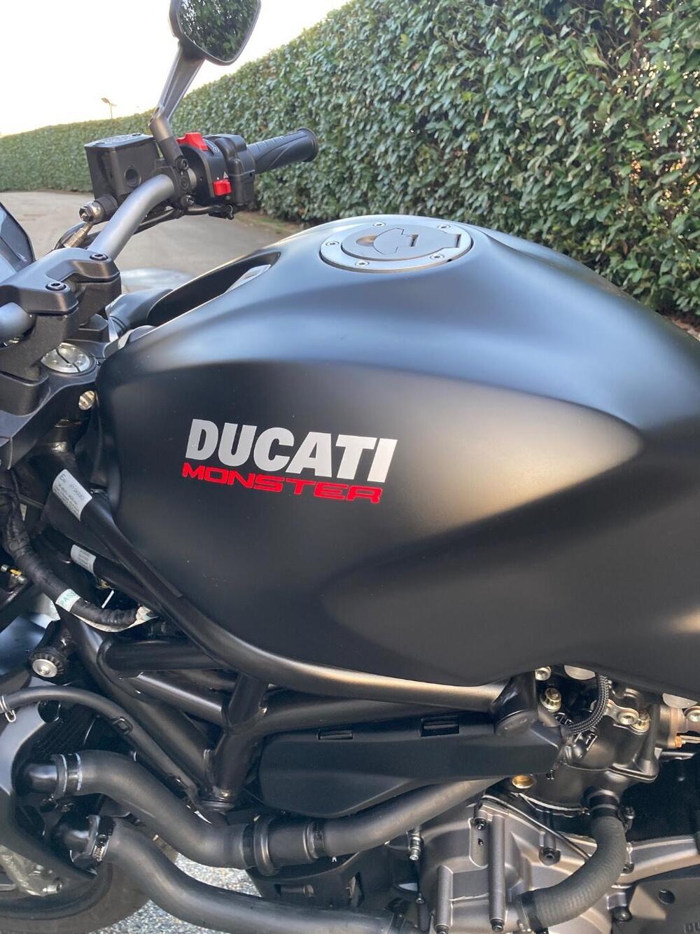 Ducati Monster 821 (2018 - 20) (6)