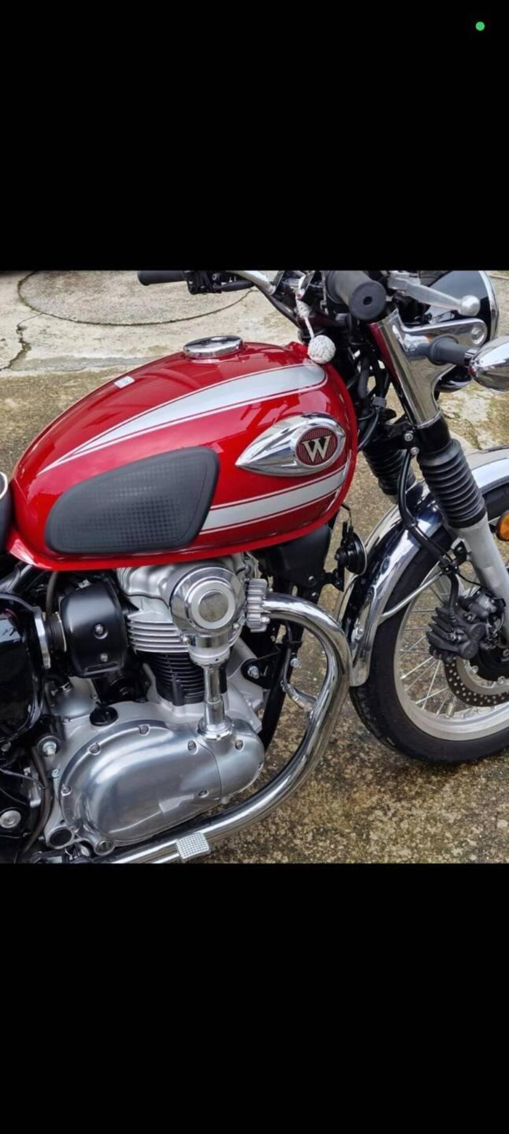 Kawasaki W 800 (2021 - 26)