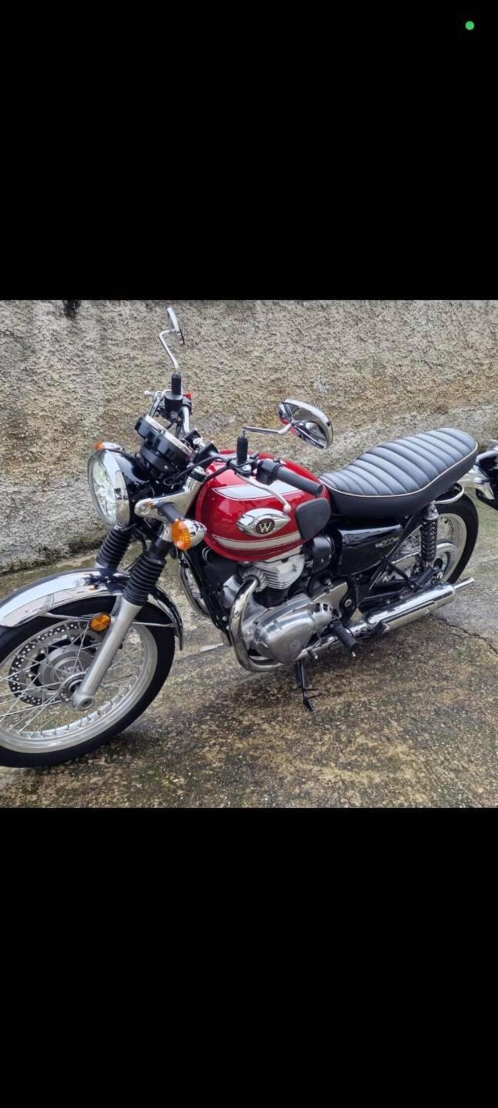 Kawasaki W 800 (2021 - 26) (3)