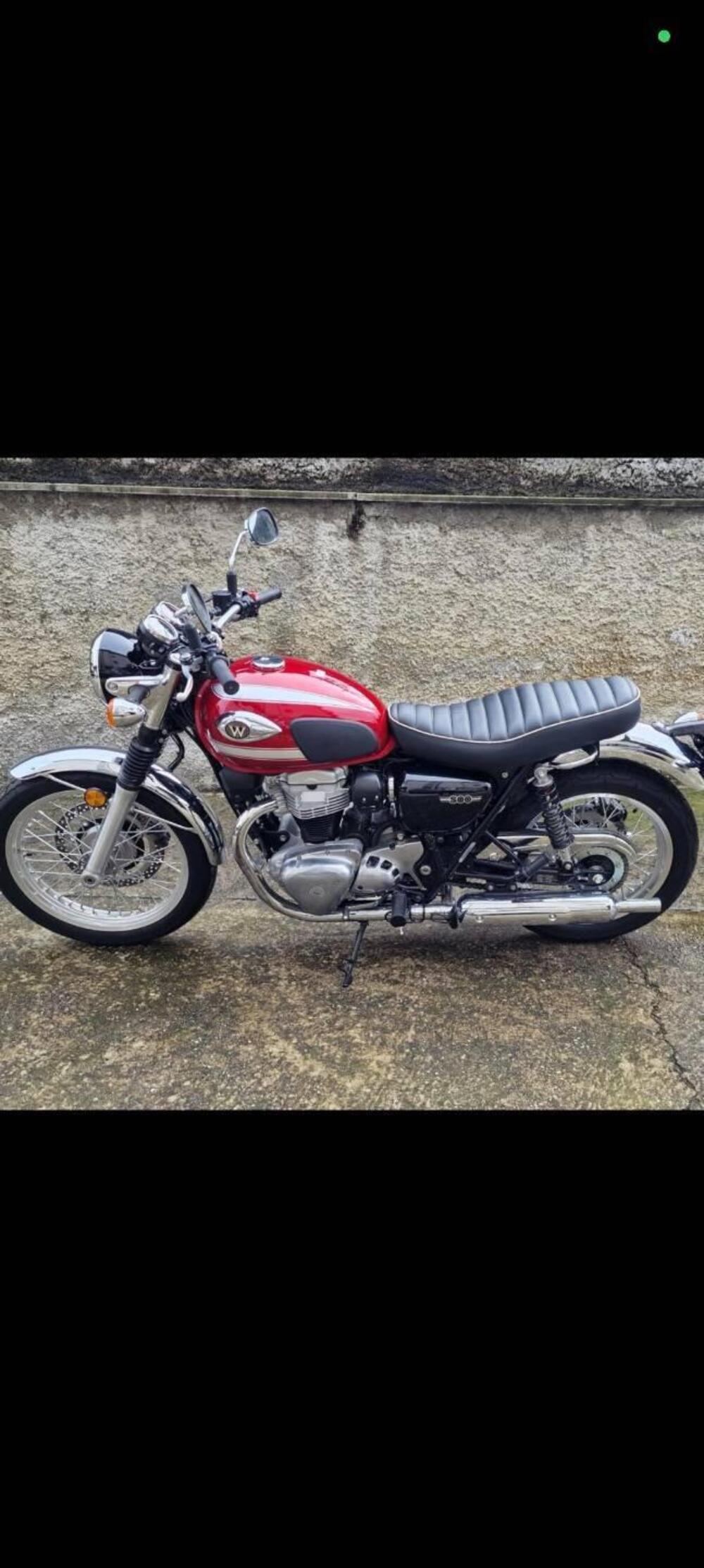 Kawasaki W 800 (2021 - 26) (6)