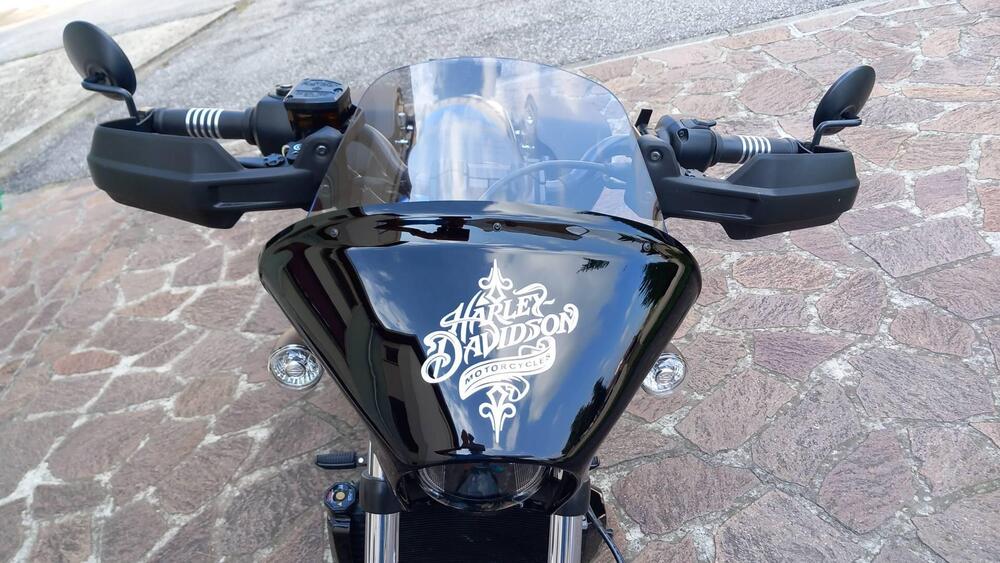 Harley-Davidson Nightster (2023 - 26) (3)