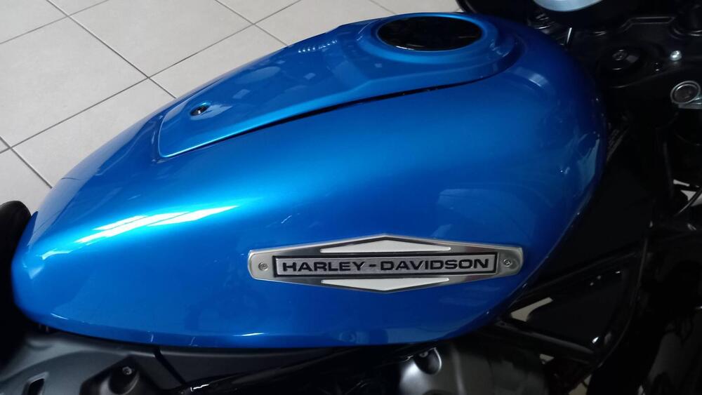 Harley-Davidson Nightster (2023 - 26) (11)