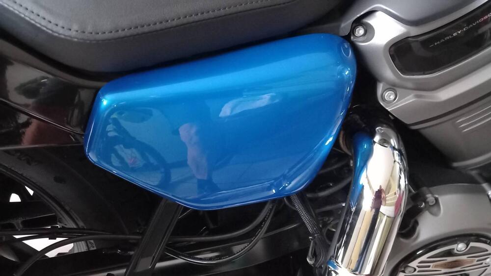 Harley-Davidson Nightster (2023 - 26) (12)