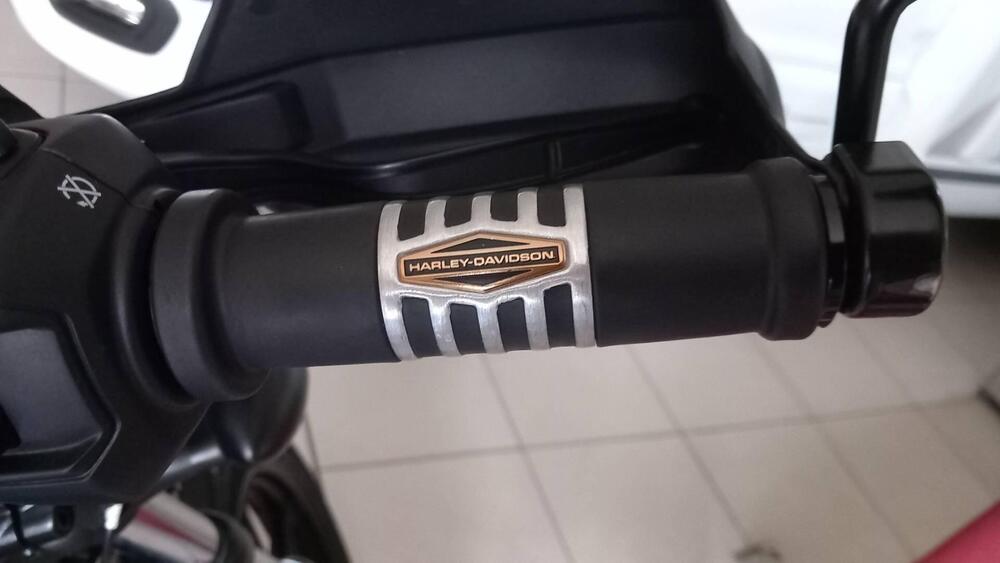 Harley-Davidson Nightster (2023 - 26) (15)