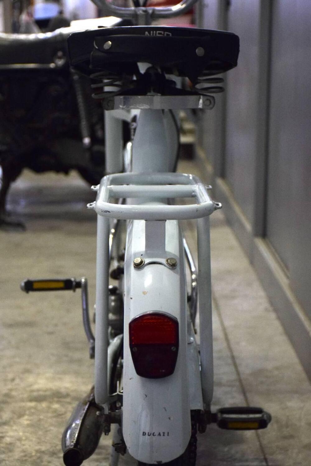 Ducati Rolly 48cc (8)