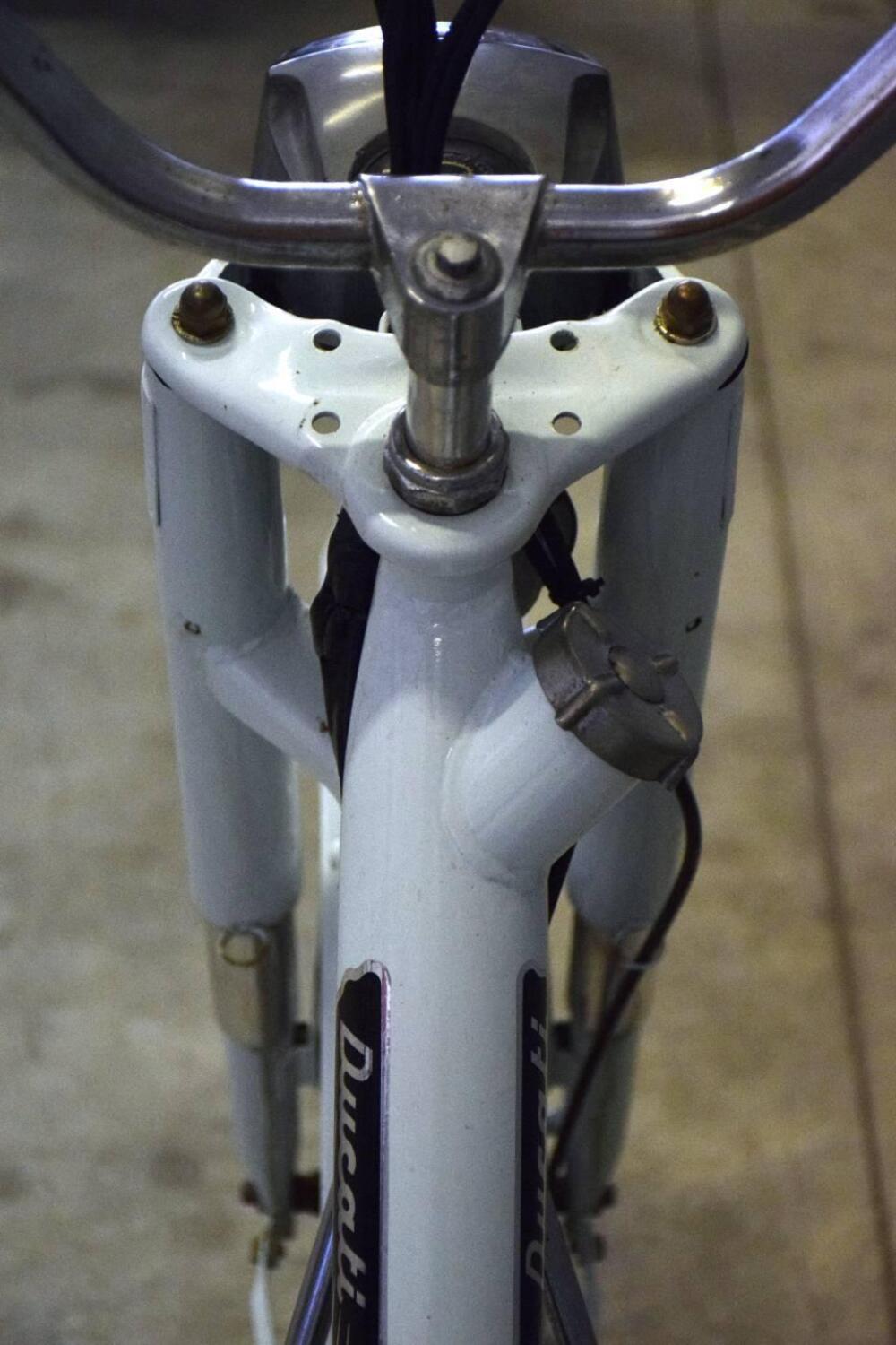 Ducati Rolly 48cc (9)