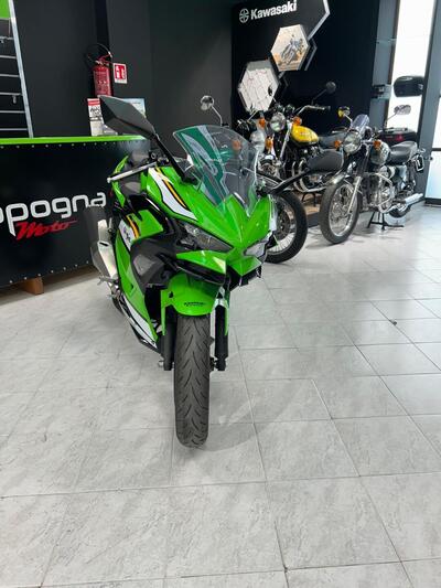 Kawasaki Ninja 500 SE Sport (2025 - 26) usata