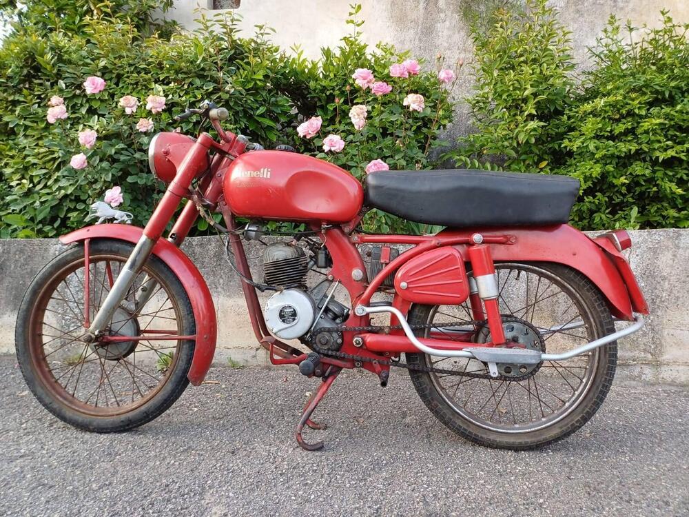 Benelli Leoncino (3)