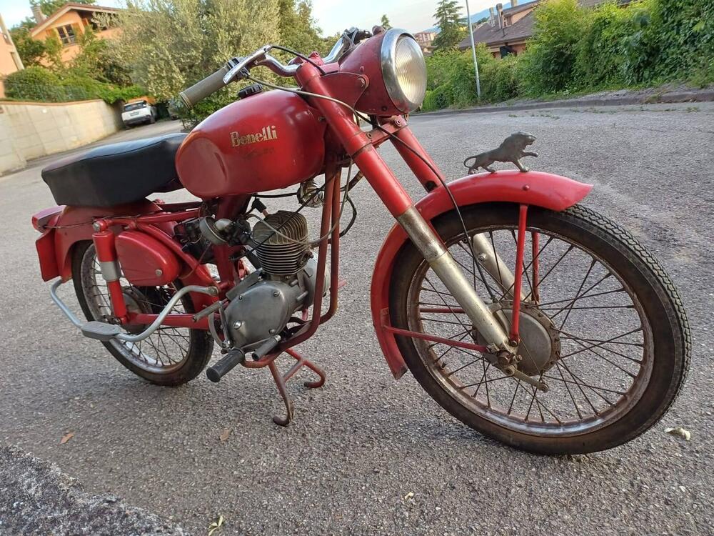 Benelli Leoncino (4)