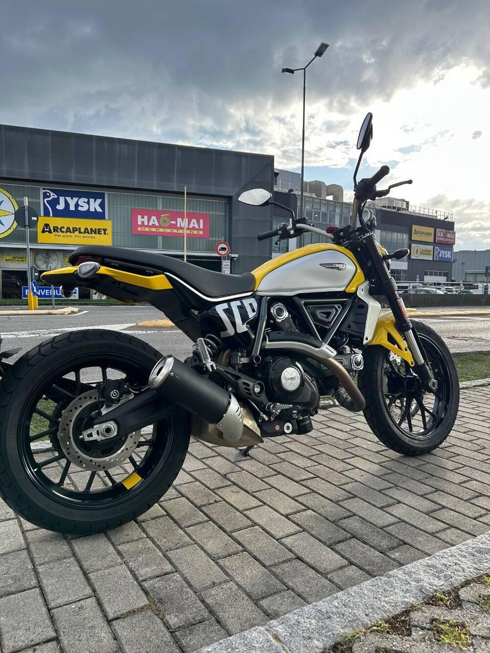Ducati Scrambler 800 Icon (2023 - 24) (4)