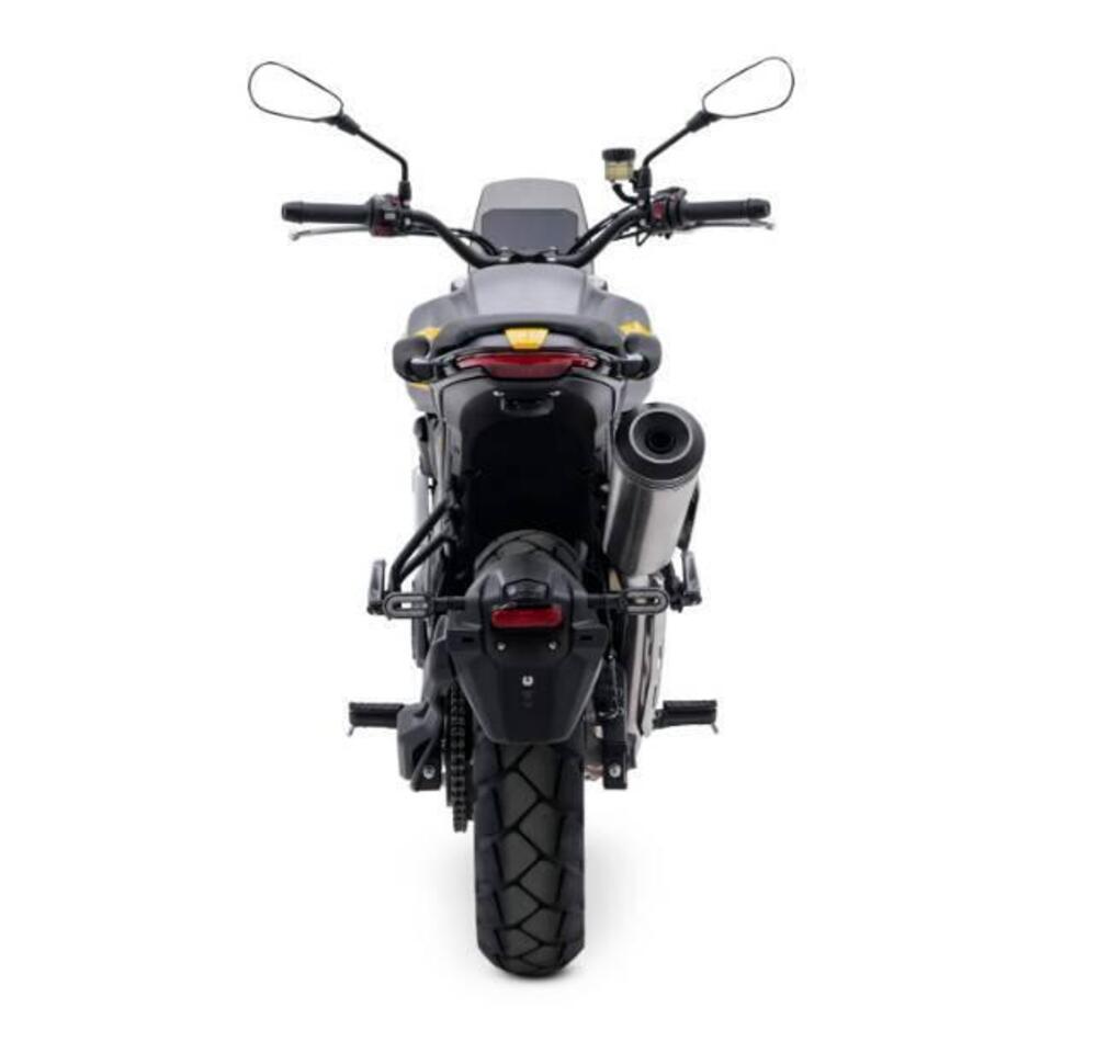 Voge Trofeo 525ACX Scrambler (2023 - 25) (2)