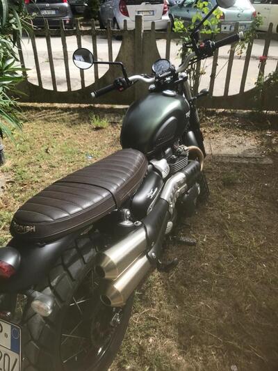 Triumph Street Scrambler 900 (2019 - 20) usata