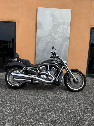 Harley-Davidson 1250 V-Rod (2008 - 12) - VRSCAW usata